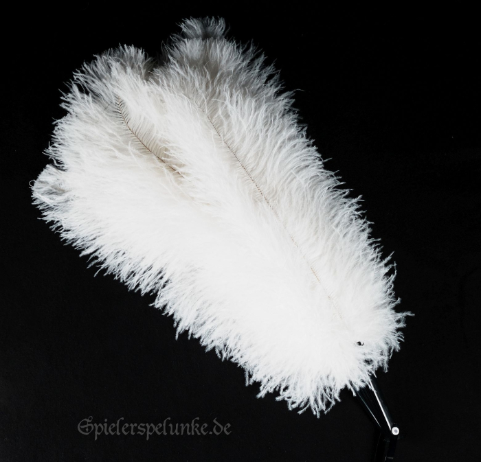 straussfächer pink burlesque revue show