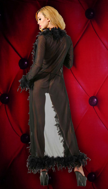 transparenter kimono morgenmantel schwarz tüll mit schwarzen federn besetzt spielerspelunke