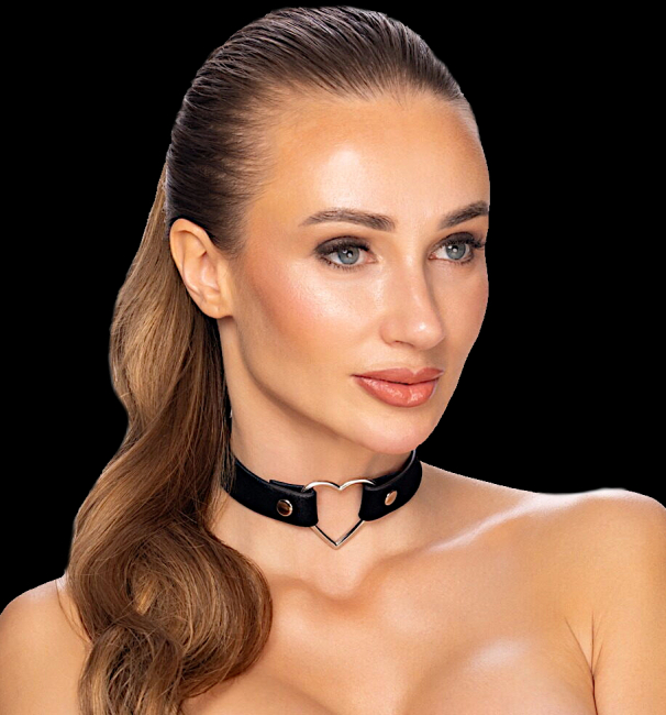 bdsm halsband choker schwarz samt silberherz nieten druckknoepfe boutiqueburlesque